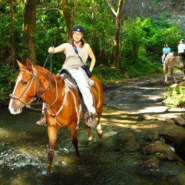 CRV_BuenaVistaComboTour__7_